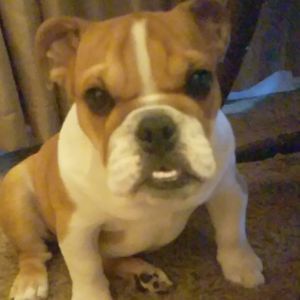 Meet your Posher, Kristine